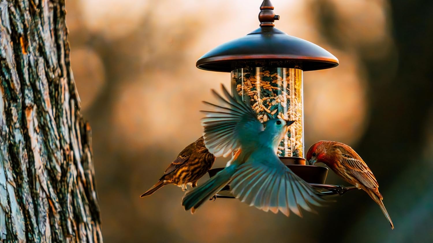 Sculptural Bird Feeders Under $35: 5 Industrial Designs That Double as Garden Art